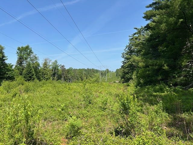 310 Highway 119 Fitzwilliam, NH 03447 - Photo 14 of 21