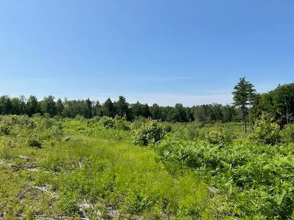 $375,000 | 310 Highway 119, Fitzwilliam, NH 03447