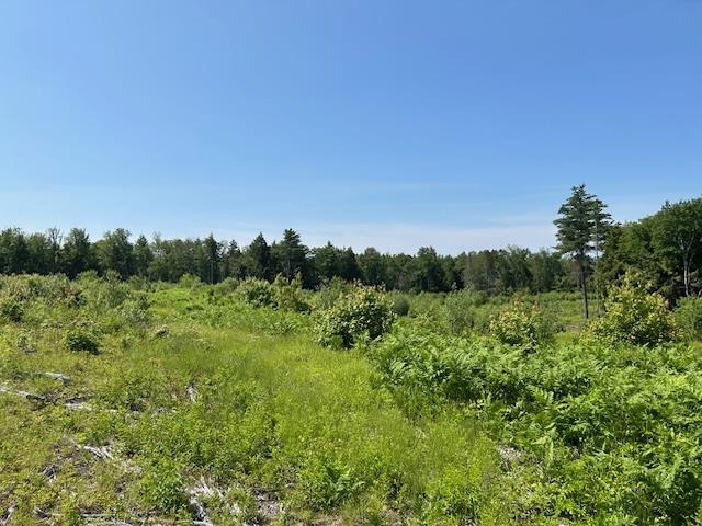 310 Highway 119 Fitzwilliam, NH 03447 - Photo 18 of 21