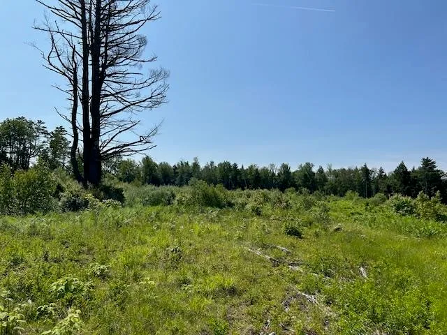 $399,000 | 310 Highway 119, Fitzwilliam, NH 03447