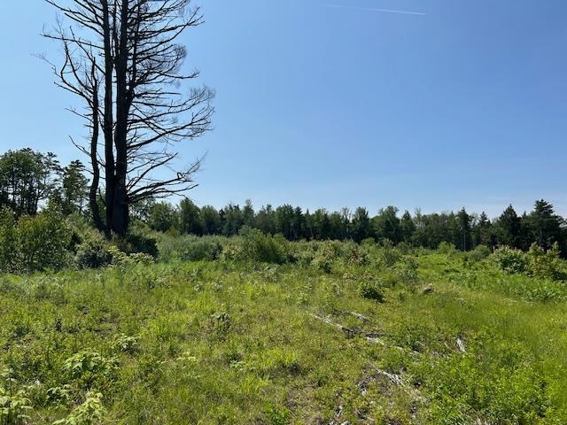 310 Highway 119 Fitzwilliam, NH 03447 - Photo 19 of 21