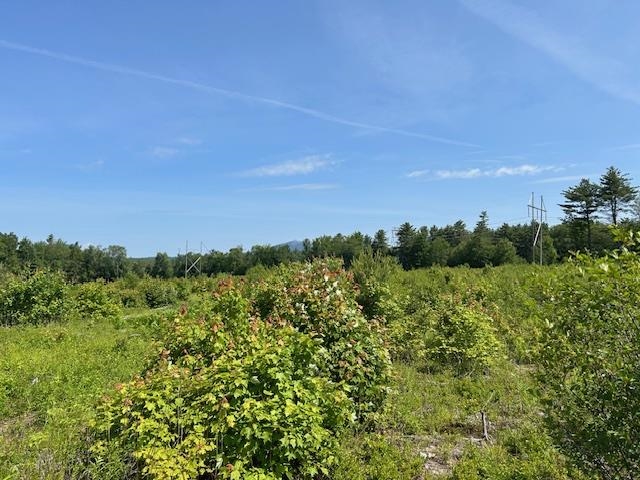 310 Highway 119 Fitzwilliam, NH 03447 - Photo 20 of 21