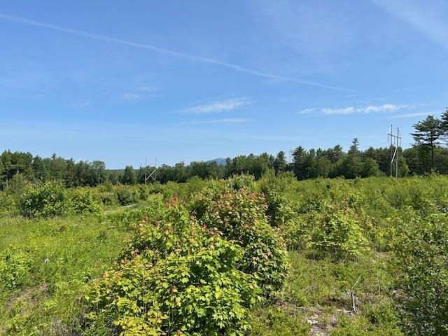 310 Highway 119 Fitzwilliam, NH 03447 - Photo 21 of 21