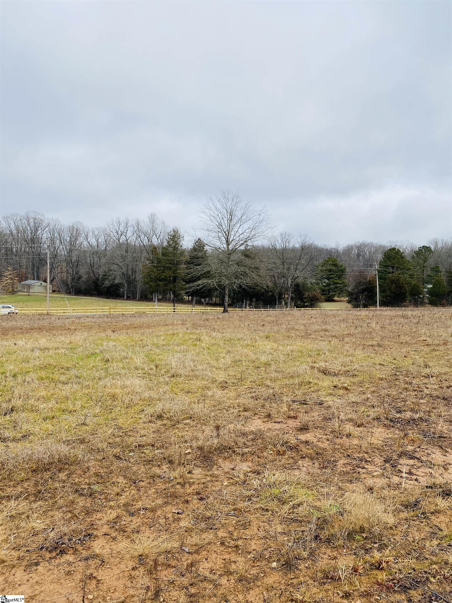505 Steve Thompson Road Laurens, SC 29360 - Photo 3 of 8