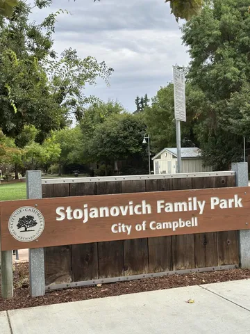 a view of a park with large trees