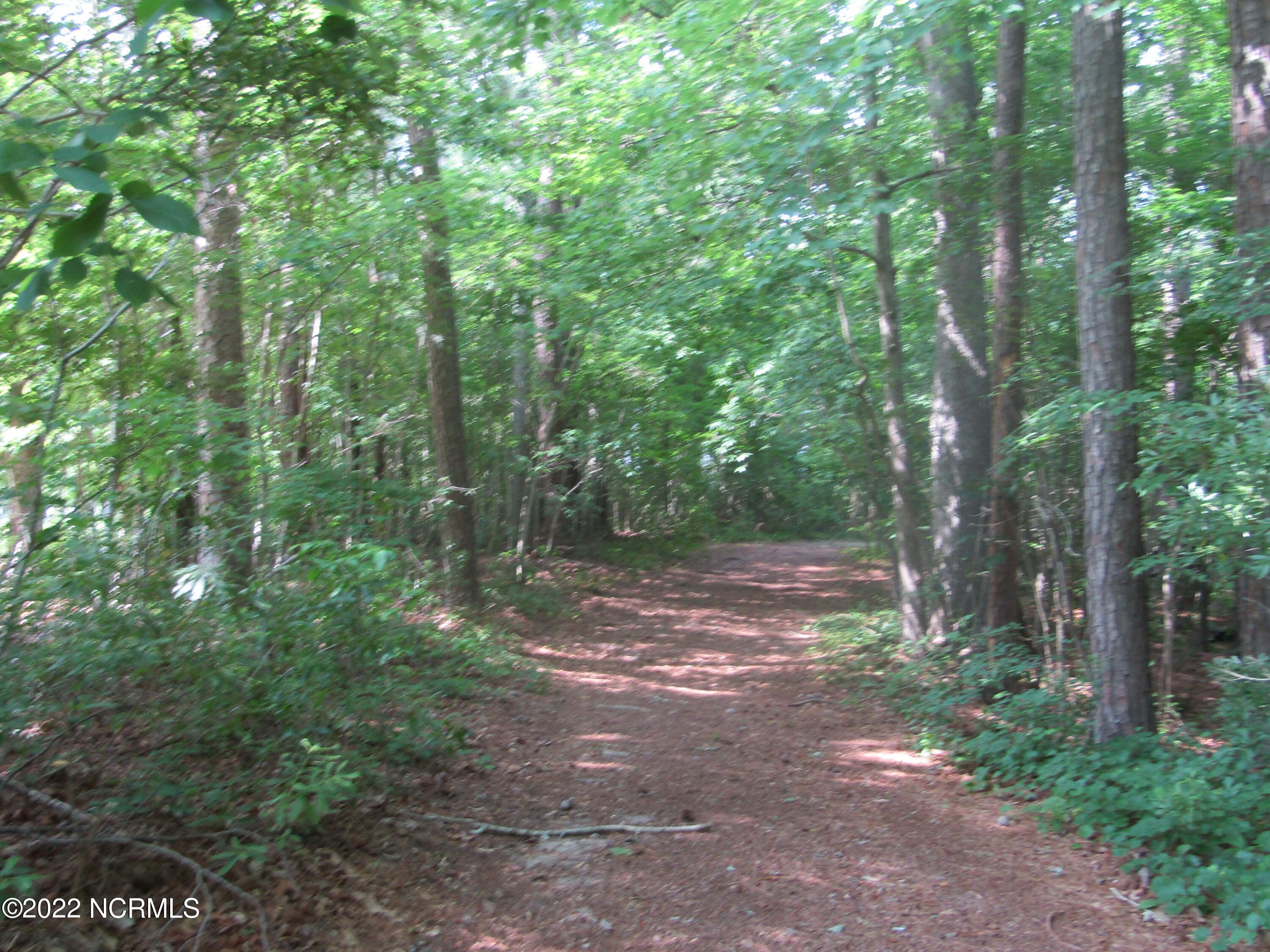 31 Hill Creek Road Chocowinity, NC 27817 - Photo 5 of 10 005 Beginning of trail that leads to Com