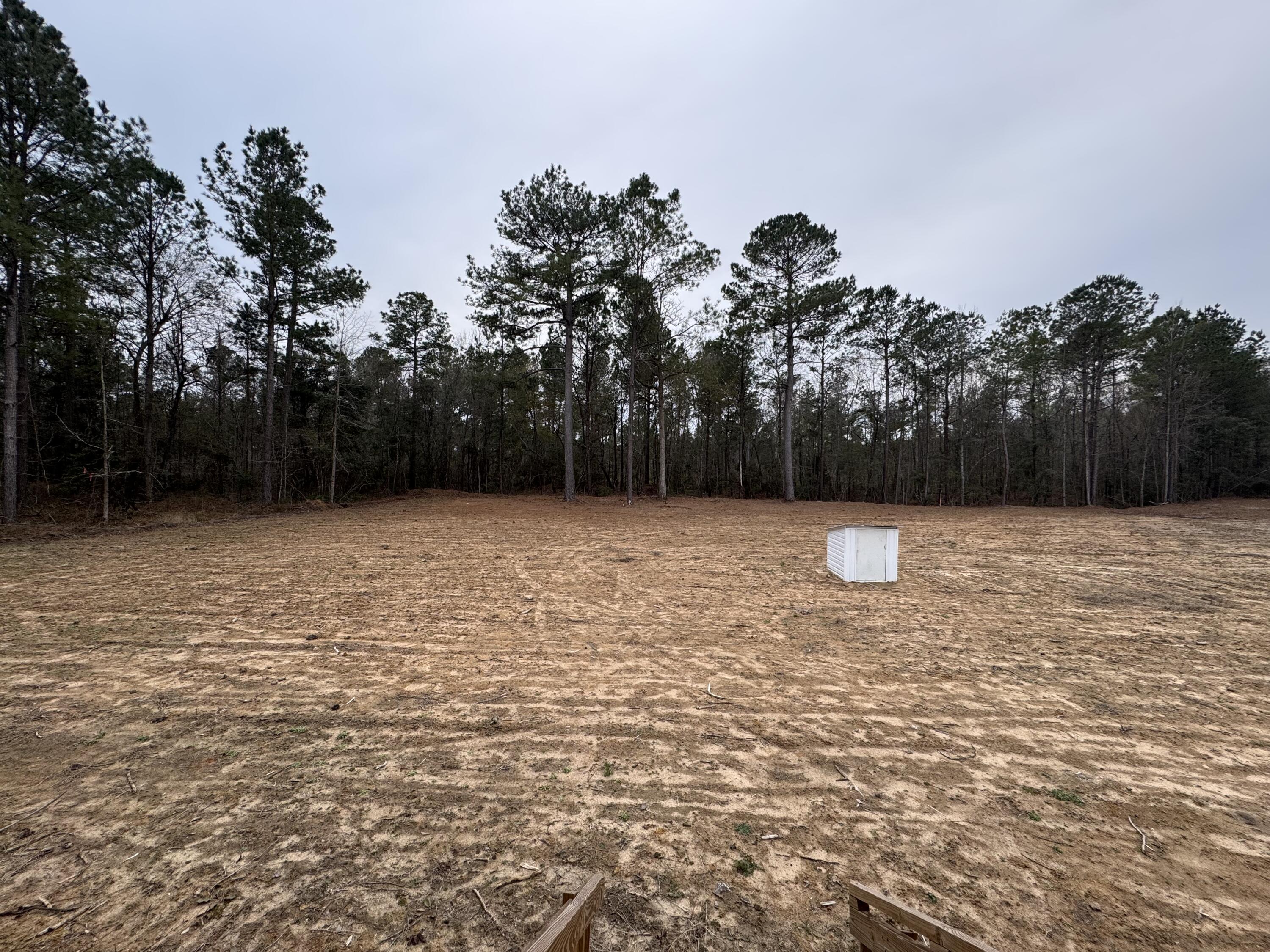 186 Wyman Road Eutawville, SC 29048 - Photo 20 of 22 IMG_3459