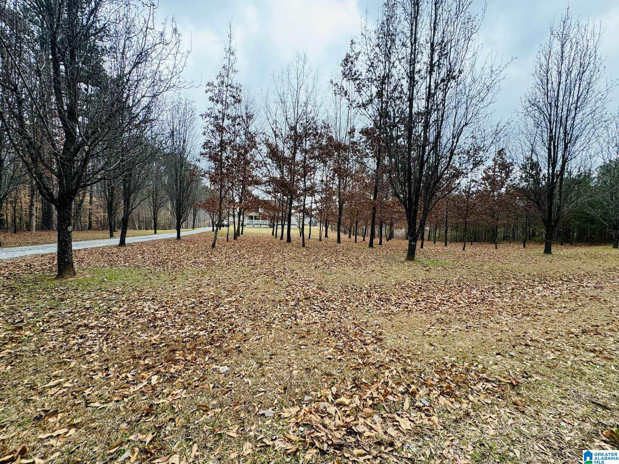 485 Hunter Road Randolph, AL 36792 - Photo 21 of 21