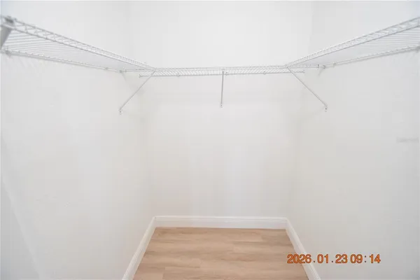 $3,095 | 3606 River Grove Drive, Tampa, FL 33610