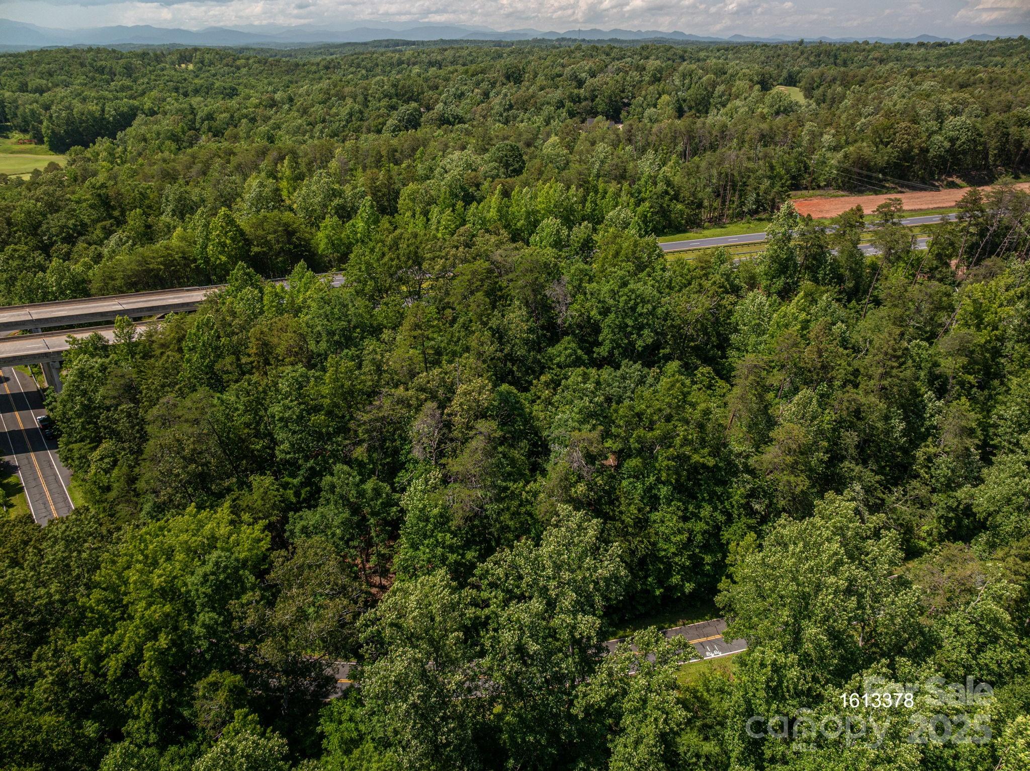 Lot #69 Cleghorn Mill Road Rutherfordton, NC 28139 - Photo 12 of 26