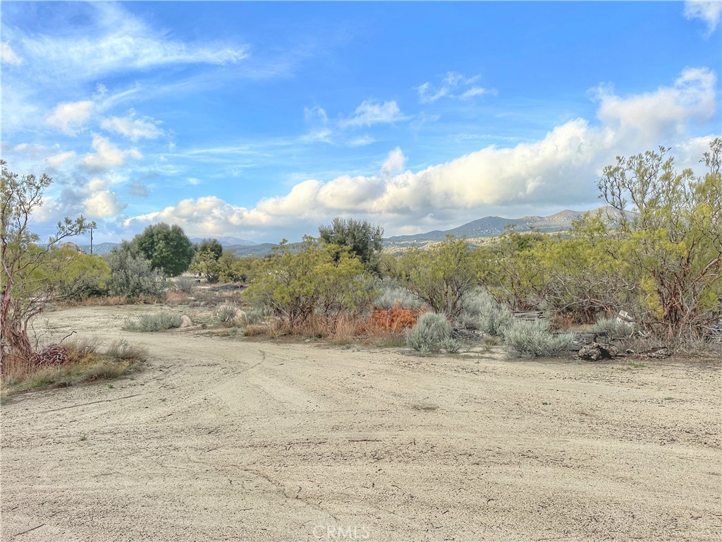 29842 Chihuahua Valley Road, Unit C Warner Springs, CA 92086 - Photo 6 of 17 a view of a dry yard with wooden fence