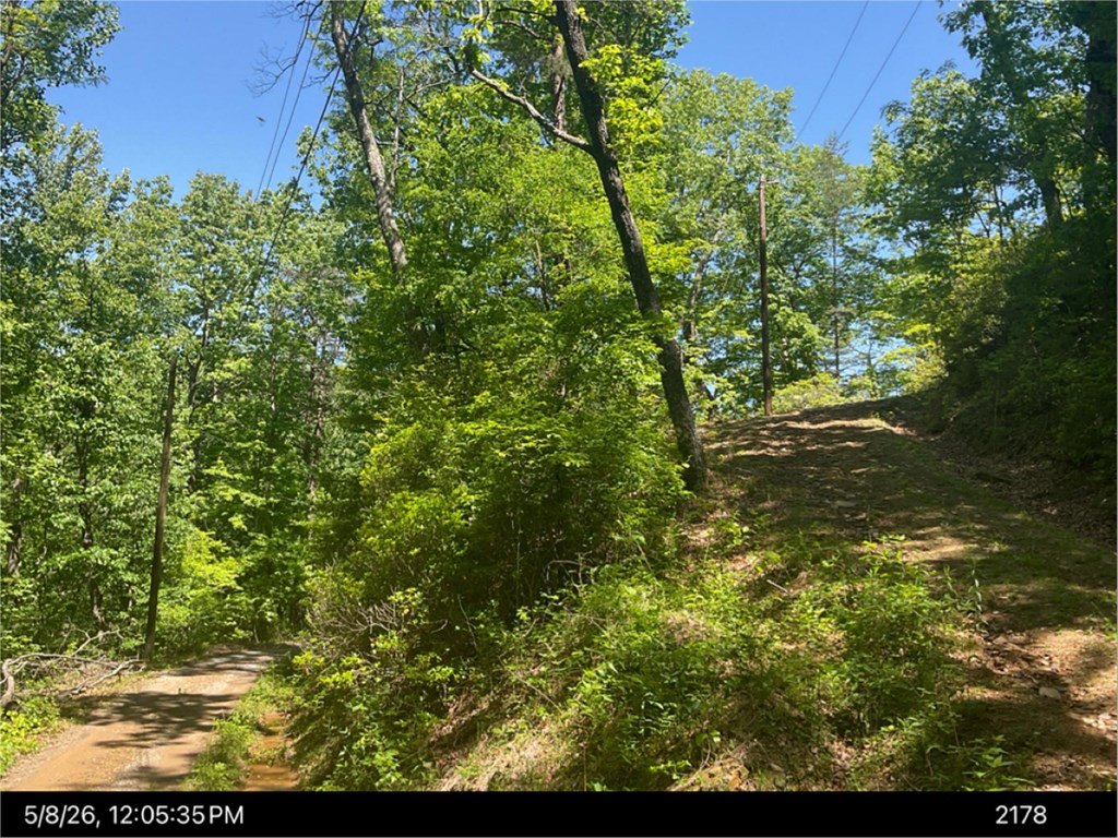 0 Burnt Mountain Road Jasper, GA 30143 - Photo 3 of 5