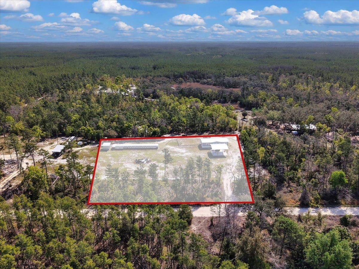 17600 Clearwater Creek Road Perry, FL 32348 - Photo 26 of 39