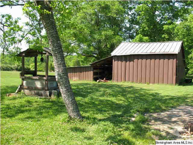 1736 Pine Dale Road Ashville, AL 35953 - Photo 10 of 19