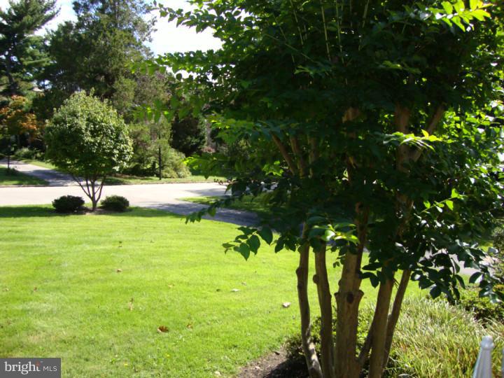 418 Red Leaf Road Wynnewood, PA 19096 - Photo 4 of 20 View from Front Door