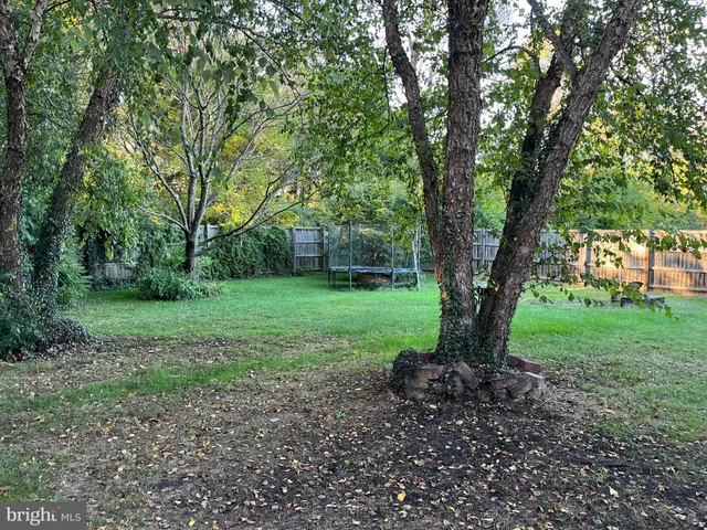 a view of a garden with a tree