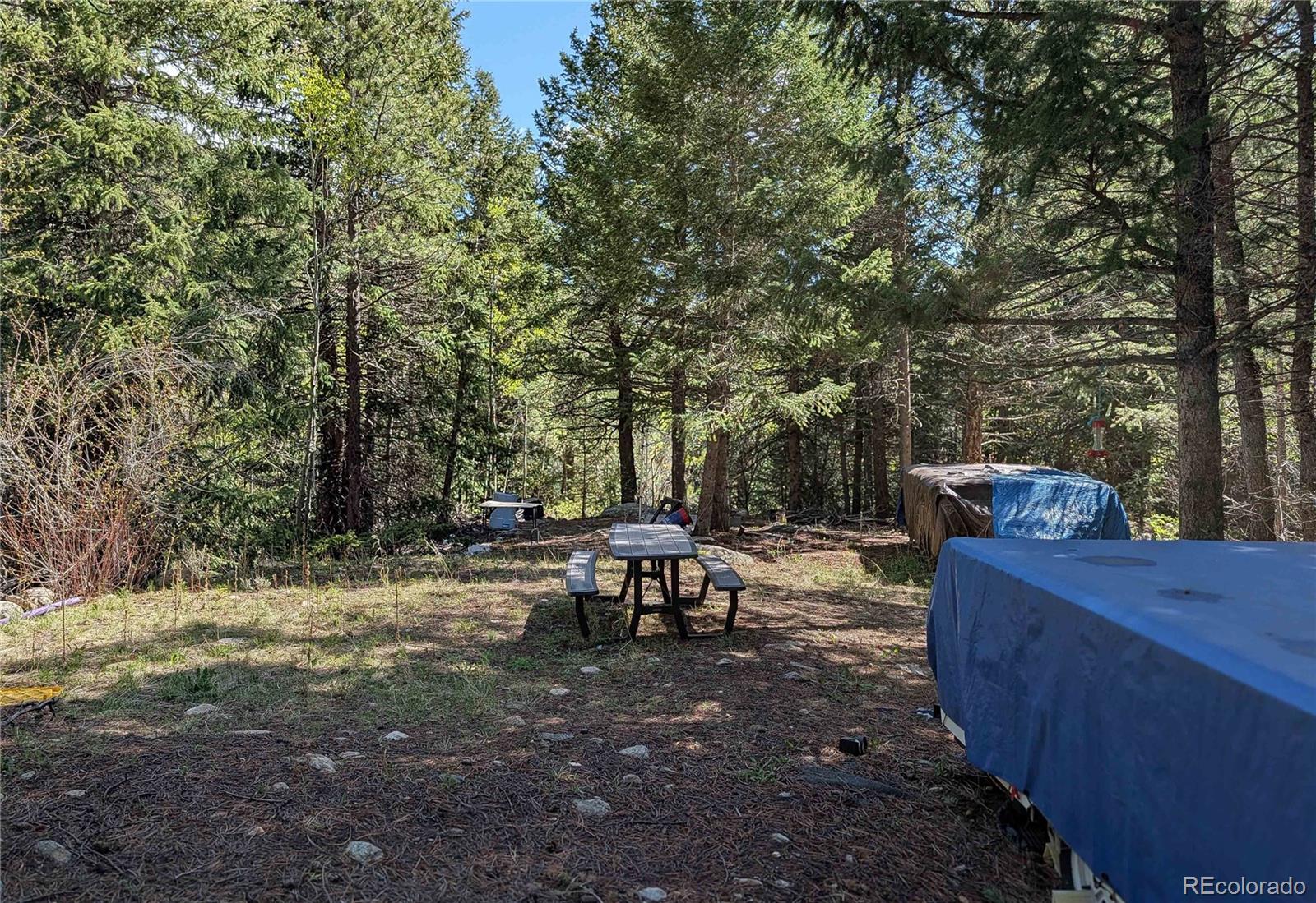 103 Cascade Creek Road Idaho Springs, CO 80452 - Photo 6 of 40 a view of a sitting area with fire pit