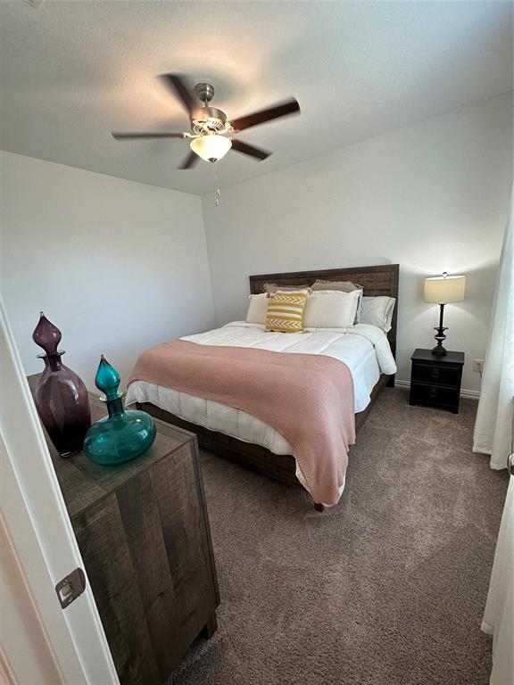 3120 Riddler Way Little Elm, TX 75068 - Photo 36 of 38