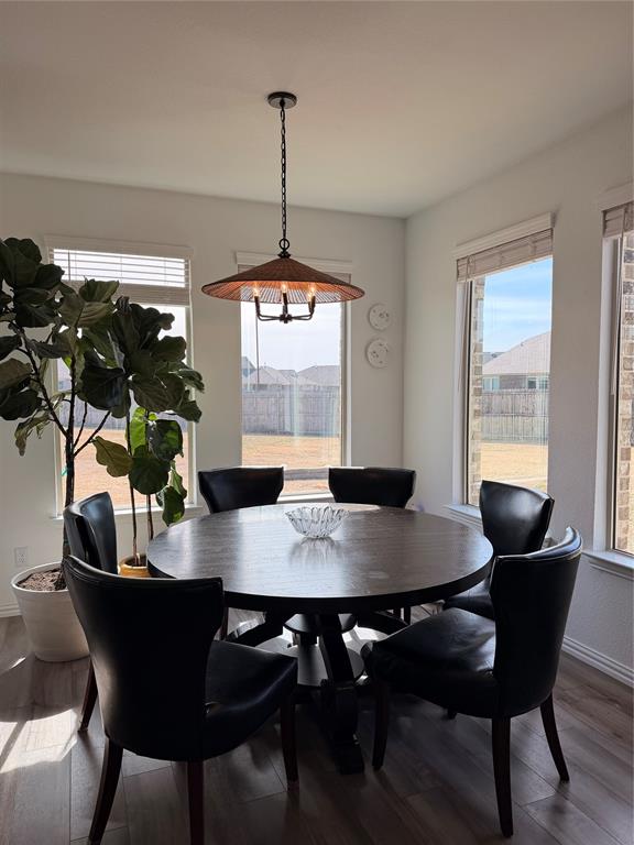 3120 Riddler Way Little Elm, TX 75068 - Photo 4 of 38