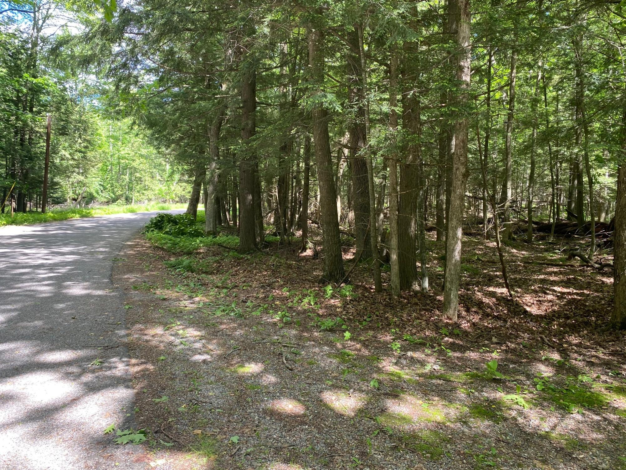On Sabinois Point Road Pelican Lake, WI 54463 - Photo 11 of 19 Gallery Image 11