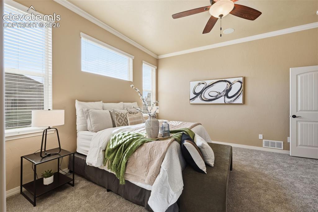 13184 Cake Bread Heights Colorado Springs, CO 80921 - Photo 22 of 47 So much natural light