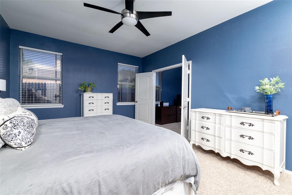 4025 Chisos Rim Trail Fort Worth, TX 76244 - Photo 20 of 40 Bedroom featuring textured blue walls, dual windows with horizontal blinds, and a contemporary ceiling fan