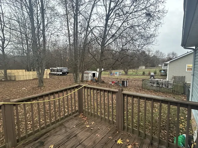 a view of a street with large trees