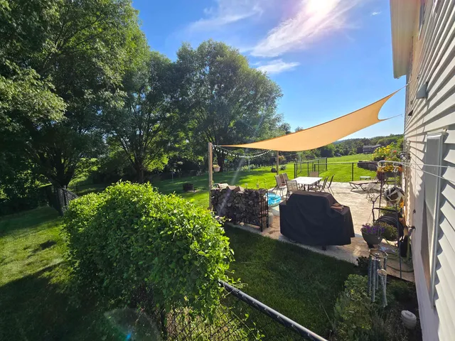 a view of a backyard with plants