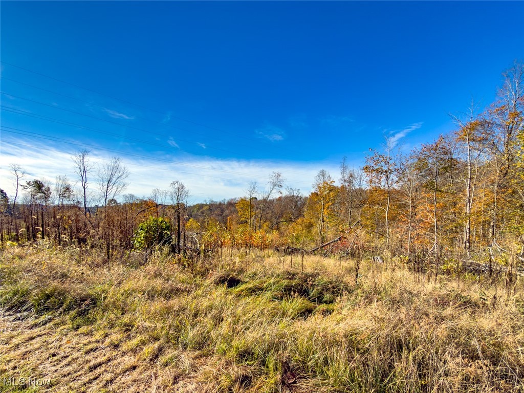0 Flint Ridge Road Northeast Crooksville, OH 43731 - Photo 23 of 46 View of nature