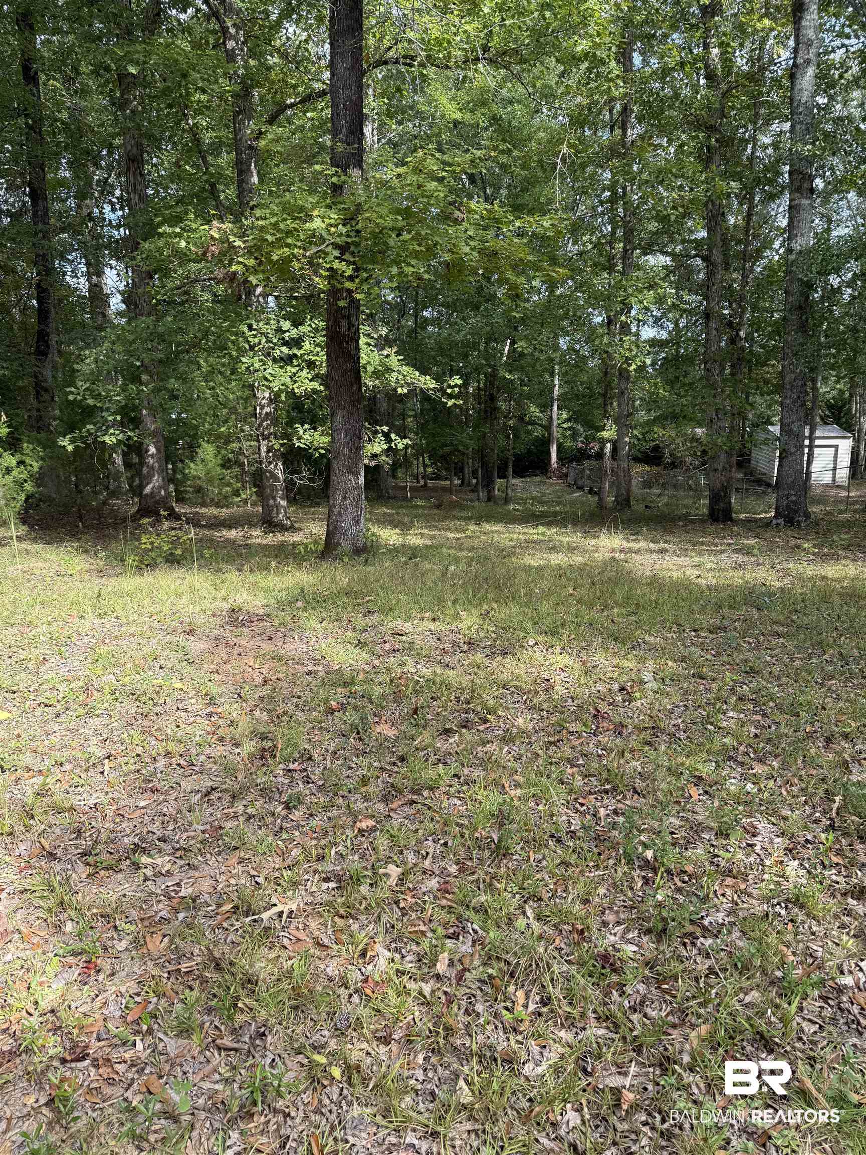 56 Thunder Road Evergreen, AL 36401 - Photo 26 of 35