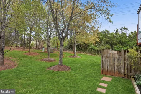 a view of a house with a yard plants and large tree