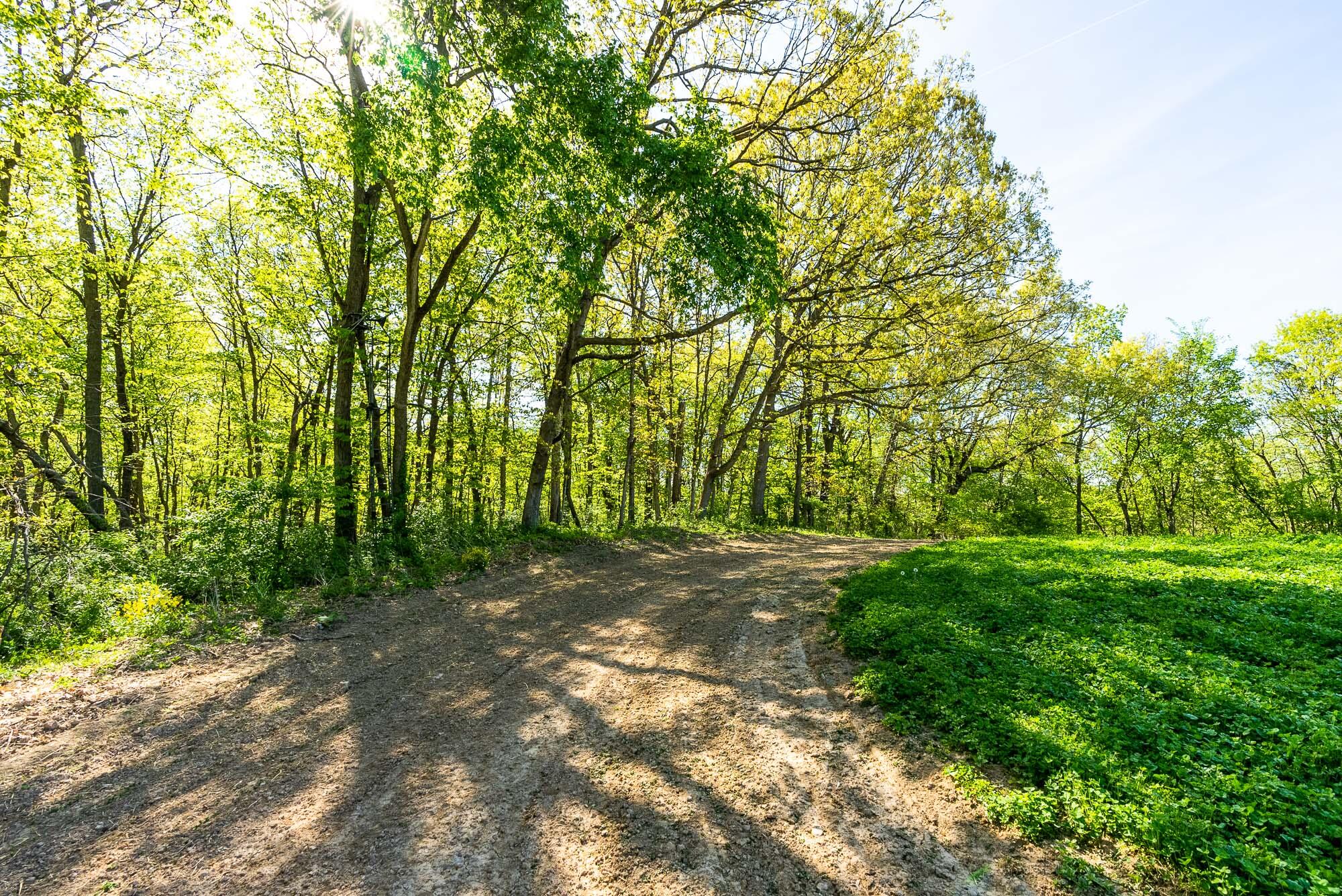 15999 Biba Road Muscoda, WI 53573 - Photo 57 of 103 Grant-County-WI-160-Acres-Land-For-Sale-