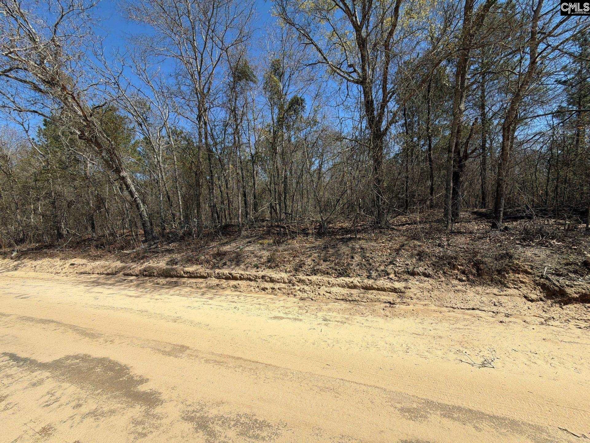 9 Boise Cascade Road, Unit BHL 9 Bethune, SC 29009 - Photo 2 of 44