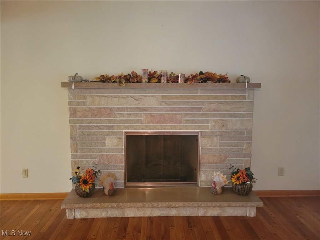 948 Carson Salt Springs Road Warren, OH 44481 - Photo 12 of 31 Details featuring a stone fireplace and hardwood / wood-style floors