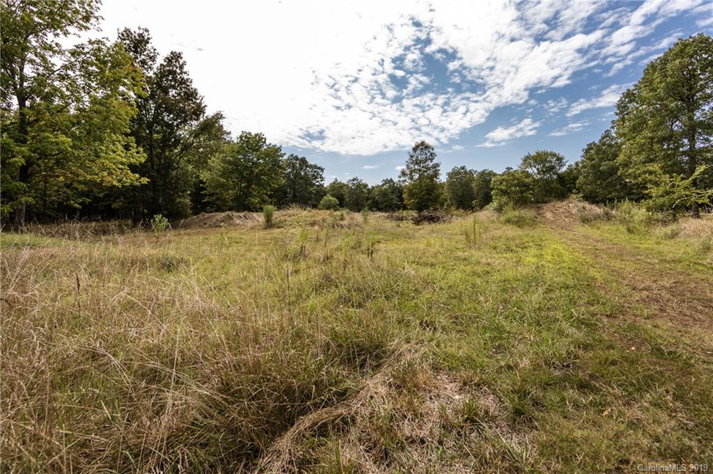 1943 Sutton Spring Road York, SC 29745 - Photo 39 of 48
