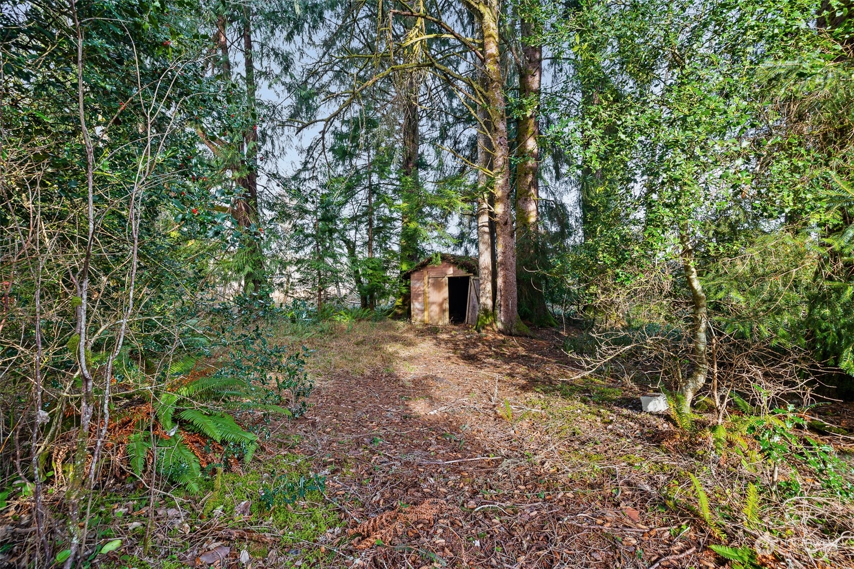 1639 Fowler Road Raymond, WA 98577 - Photo 28 of 34 Gallery Image 28