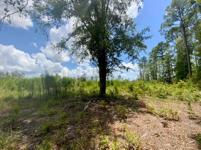 $85,000 | Vacant East Washington Highway, Monticello, FL 32344