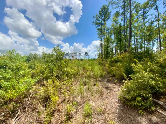 $85,000 | Vacant East Washington Highway, Monticello, FL 32344