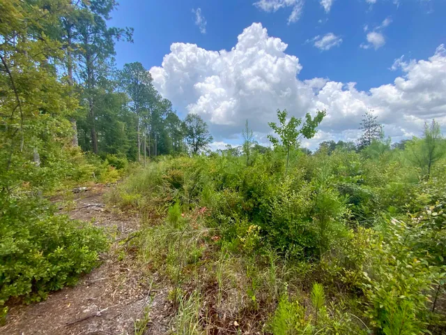 $85,000 | Vacant East Washington Highway, Monticello, FL 32344