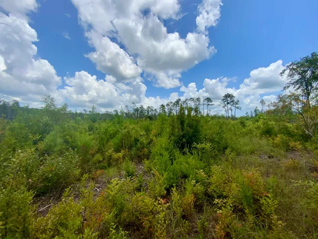 $85,000 | Vacant East Washington Highway, Monticello, FL 32344