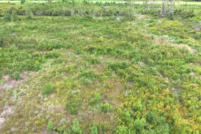 $85,000 | Vacant East Washington Highway, Monticello, FL 32344