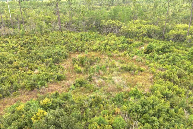 $85,000 | Vacant East Washington Highway, Monticello, FL 32344