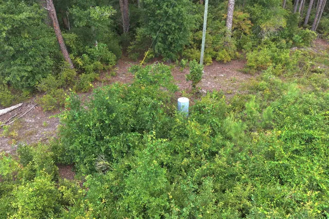 $85,000 | Vacant East Washington Highway, Monticello, FL 32344