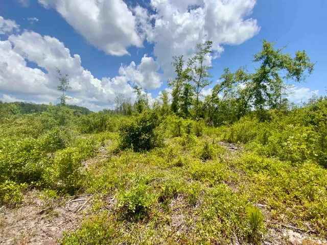 $85,000 | Vacant East Washington Highway, Monticello, FL 32344