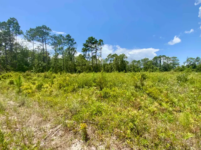 $85,000 | Vacant East Washington Highway, Monticello, FL 32344