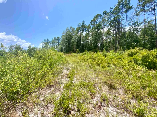 $85,000 | Vacant East Washington Highway, Monticello, FL 32344