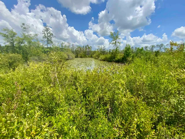 $85,000 | Vacant East Washington Highway, Monticello, FL 32344