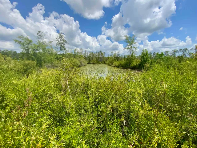 $85,000 | Vacant East Washington Highway, Monticello, FL 32344