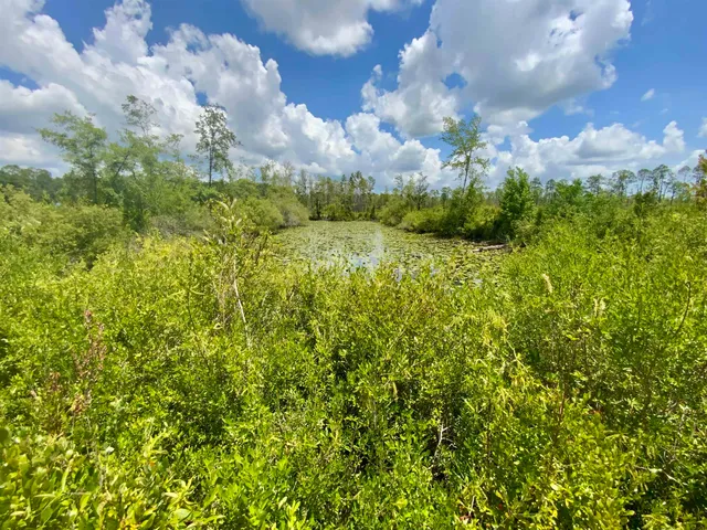 $85,000 | Vacant East Washington Highway, Monticello, FL 32344