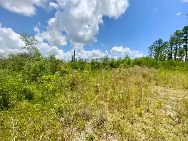$85,000 | Vacant East Washington Highway, Monticello, FL 32344